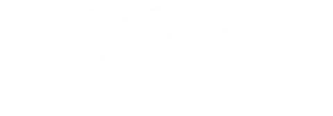 Grupo Renato Ventura
